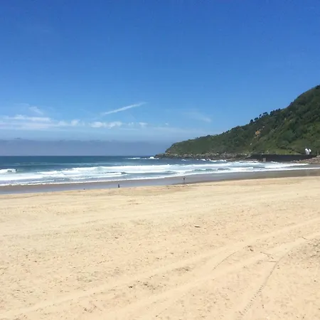 Oteiza Cerca De La Playa De La Zurriola * San Sebastian